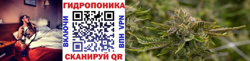 ссылка на мегу ссылки  Новый Оскол  Марихуана AK-47  магазин продажи  